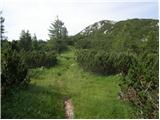 Podkraj / Unterort - Wackendorfer Spitze